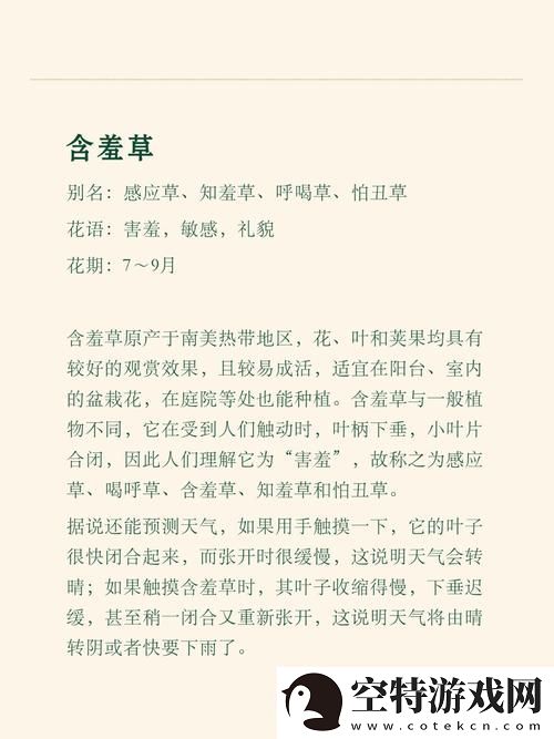 含羞草免费网名背后的故事-用户评论：