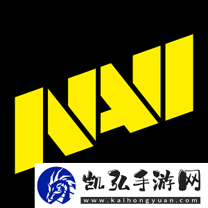 延续纪录-NAVI连续11年参加Major赛事